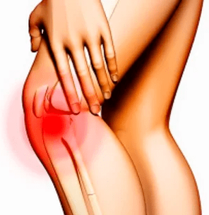 Estructura anatómica de la rodilla.